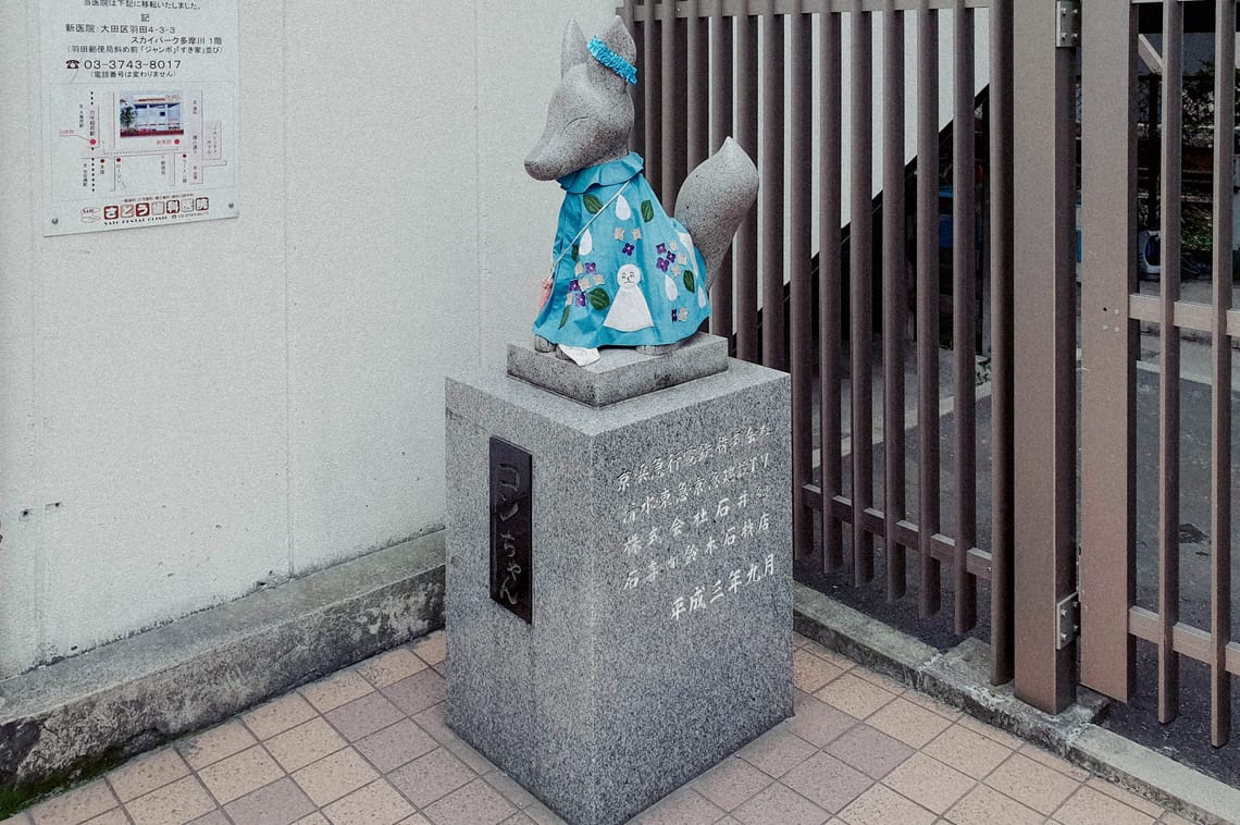 Fox on Kawasaki 2019