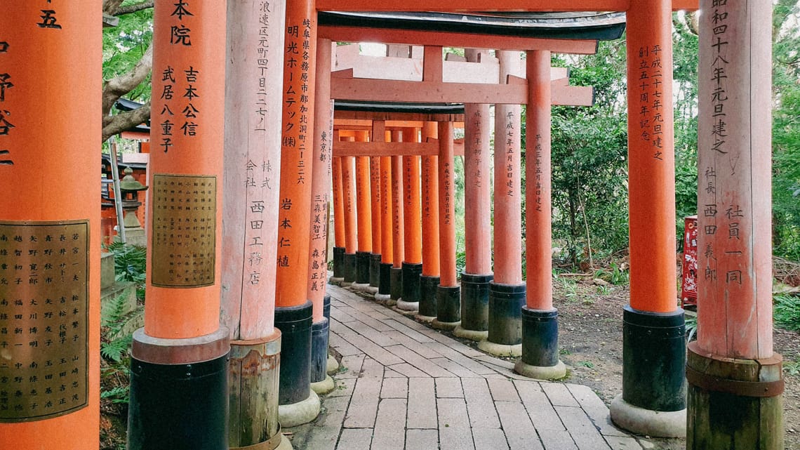 Kyoto forest