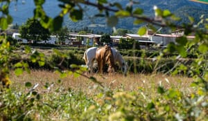 Sant Llorenç Horses