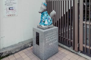 Fox on Kawasaki 2019