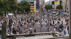 Shibuya Crossing