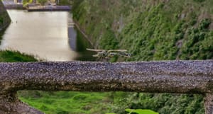 Dragon Fly
